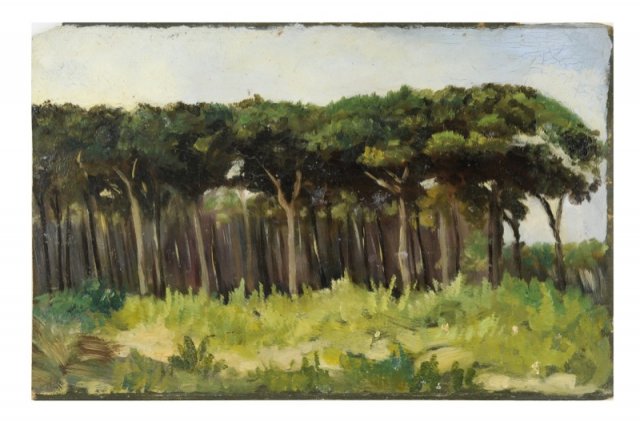 1899 - Pineta di Viareggio